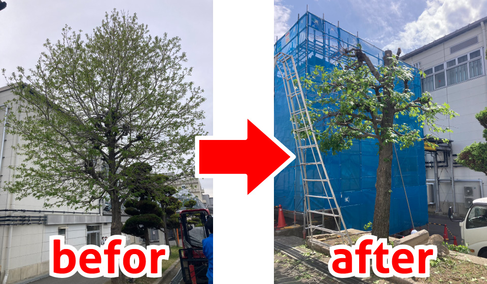 Rぷらすクリーン施工例